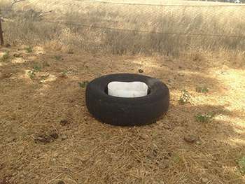 Chemical Drum & Tyre
