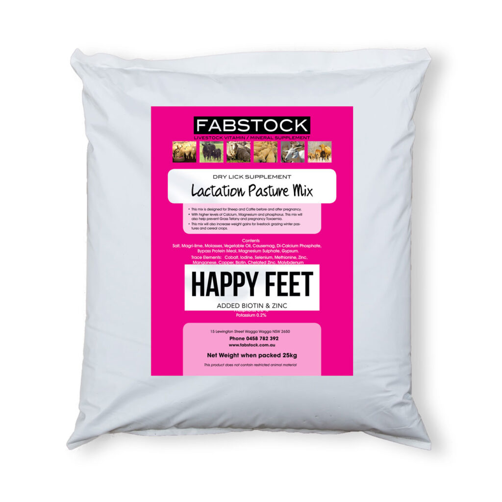 Happy Feet