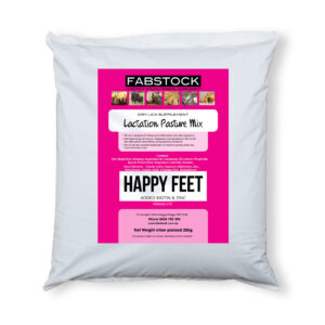 Happy Feet