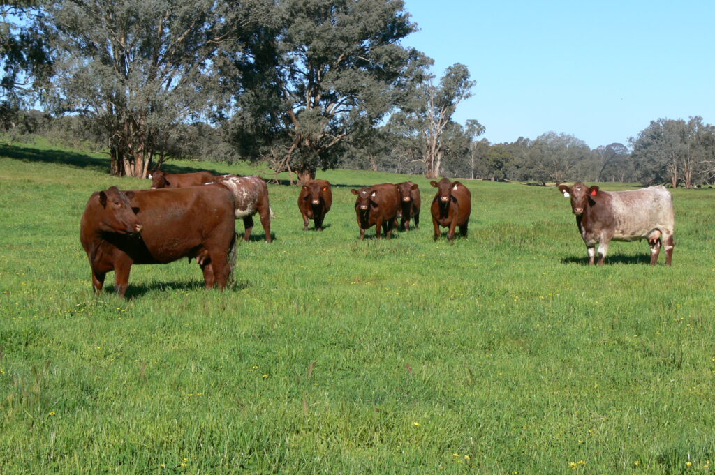 Complete feed package
