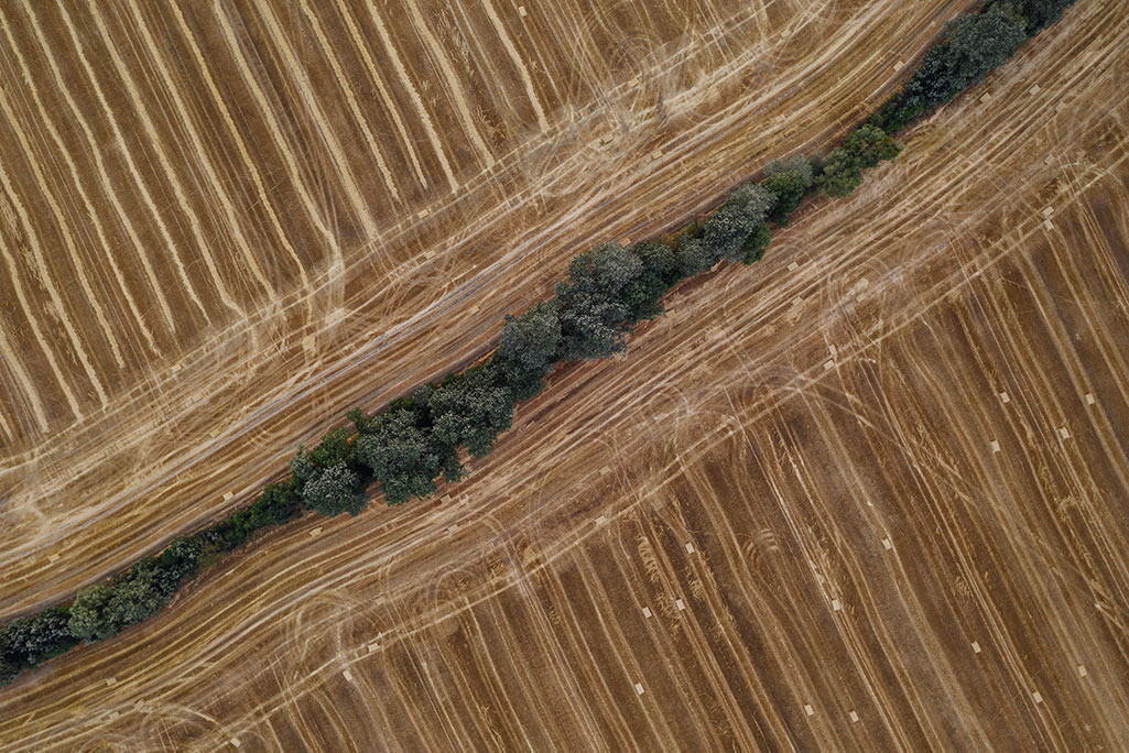 Optimising Dry Summer Feed