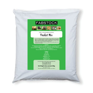 Feedlot